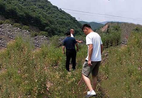 ��Cеɽ��400���~�x